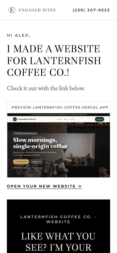 The private link page showing a business its new website